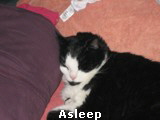 Asleep