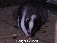 Badgers visited...