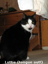 Lottie (tongue out!)